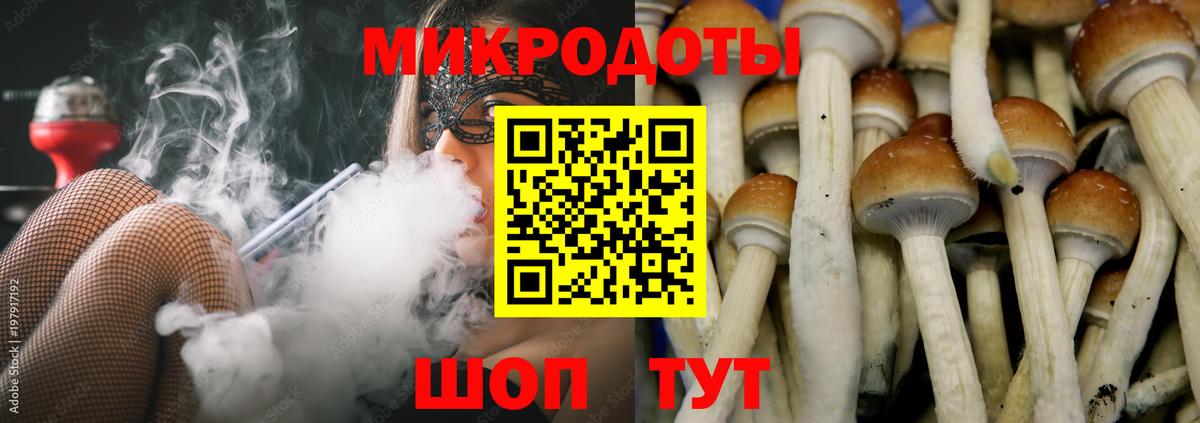 Чебоксары  Галлюциногенные грибы мухоморы  Вход с VPN  Галлюциногенные грибы мухоморы 